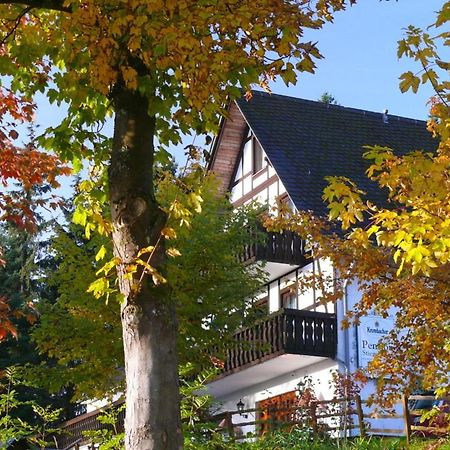 Pension Stiegelmeier Winterberg Ngoại thất bức ảnh